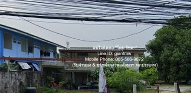 ประกาศฟรี! ซื้อ-ขาย-เช่า คอนโด บ้าน ทาวน์โฮม ที่ดิน และพื้นที่เชิงพาณิชย์ทั่วประเทศไทย ทุกทำเล ทุกงบประมาณ ไม่มีค่าใช้จ่าย ลงง่าย ขายไว เข้าถึงผู้ซื้อโดยตรง 3 16518pic2.jpg