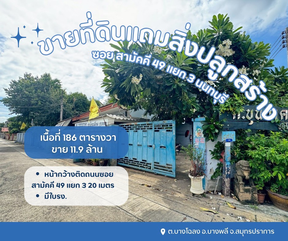 ประกาศฟรี! ซื้อ-ขาย-เช่า คอนโด บ้าน ทาวน์โฮม ที่ดิน และพื้นที่เชิงพาณิชย์ทั่วประเทศไทย ทุกทำเล ทุกงบประมาณ ไม่มีค่าใช้จ่าย ลงง่าย ขายไว เข้าถึงผู้ซื้อโดยตรง 2 319124pic1.jpg
