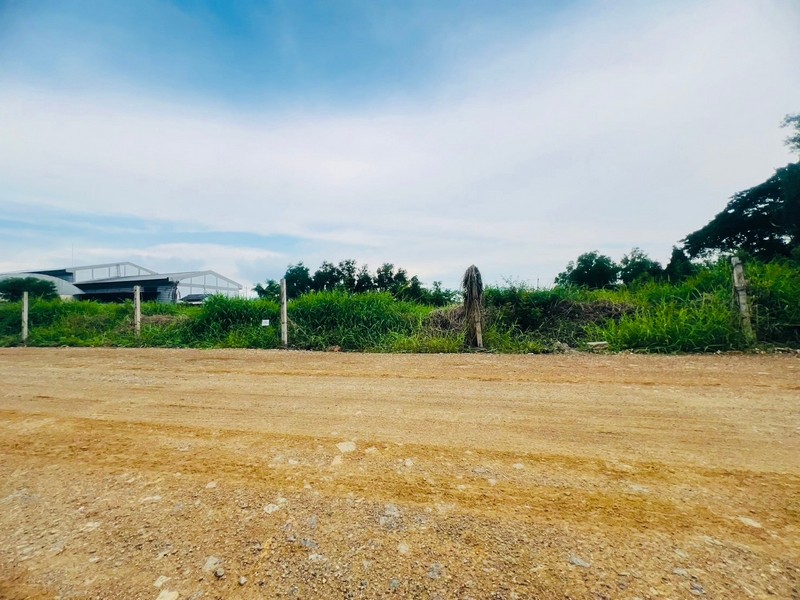 ประกาศฟรี! ซื้อ-ขาย-เช่า คอนโด บ้าน ทาวน์โฮม ที่ดิน และพื้นที่เชิงพาณิชย์ทั่วประเทศไทย ทุกทำเล ทุกงบประมาณ ไม่มีค่าใช้จ่าย ลงง่าย ขายไว เข้าถึงผู้ซื้อโดยตรง 2 274169pic1.jpg