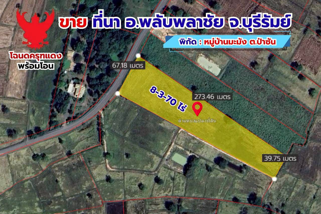 ประกาศฟรี! ซื้อ-ขาย-เช่า คอนโด บ้าน ทาวน์โฮม ที่ดิน และพื้นที่เชิงพาณิชย์ทั่วประเทศไทย ทุกทำเล ทุกงบประมาณ ไม่มีค่าใช้จ่าย ลงง่าย ขายไว เข้าถึงผู้ซื้อโดยตรง 2 319329pic1.jpg