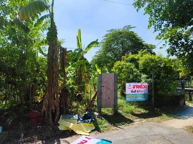 ประกาศฟรี! ซื้อ-ขาย-เช่า คอนโด บ้าน ทาวน์โฮม ที่ดิน และพื้นที่เชิงพาณิชย์ทั่วประเทศไทย ทุกทำเล ทุกงบประมาณ ไม่มีค่าใช้จ่าย ลงง่าย ขายไว เข้าถึงผู้ซื้อโดยตรง 4 165872pic3.jpg