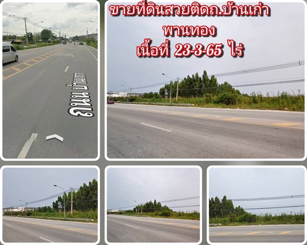 ประกาศฟรี! ซื้อ-ขาย-เช่า คอนโด บ้าน ทาวน์โฮม ที่ดิน และพื้นที่เชิงพาณิชย์ทั่วประเทศไทย ทุกทำเล ทุกงบประมาณ ไม่มีค่าใช้จ่าย ลงง่าย ขายไว เข้าถึงผู้ซื้อโดยตรง 2 319394pic1.jpg