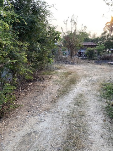 ประกาศฟรี! ซื้อ-ขาย-เช่า คอนโด บ้าน ทาวน์โฮม ที่ดิน และพื้นที่เชิงพาณิชย์ทั่วประเทศไทย ทุกทำเล ทุกงบประมาณ ไม่มีค่าใช้จ่าย ลงง่าย ขายไว เข้าถึงผู้ซื้อโดยตรง 3 7372pic2.jpg