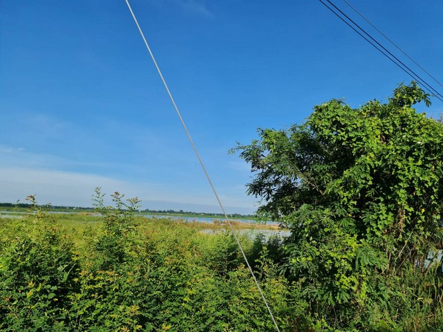 ประกาศฟรี! ซื้อ-ขาย-เช่า คอนโด บ้าน ทาวน์โฮม ที่ดิน และพื้นที่เชิงพาณิชย์ทั่วประเทศไทย ทุกทำเล ทุกงบประมาณ ไม่มีค่าใช้จ่าย ลงง่าย ขายไว เข้าถึงผู้ซื้อโดยตรง 3 7371pic2.jpg