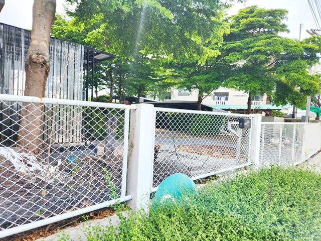 ประกาศฟรี! ซื้อ-ขาย-เช่า คอนโด บ้าน ทาวน์โฮม ที่ดิน และพื้นที่เชิงพาณิชย์ทั่วประเทศไทย ทุกทำเล ทุกงบประมาณ ไม่มีค่าใช้จ่าย ลงง่าย ขายไว เข้าถึงผู้ซื้อโดยตรง 5 165980pic4.jpg