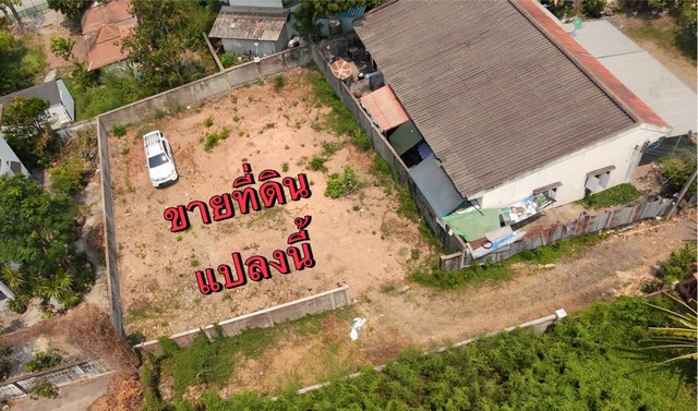 ประกาศฟรี! ซื้อ-ขาย-เช่า คอนโด บ้าน ทาวน์โฮม ที่ดิน และพื้นที่เชิงพาณิชย์ทั่วประเทศไทย ทุกทำเล ทุกงบประมาณ ไม่มีค่าใช้จ่าย ลงง่าย ขายไว เข้าถึงผู้ซื้อโดยตรง 2 319595pic1.jpg
