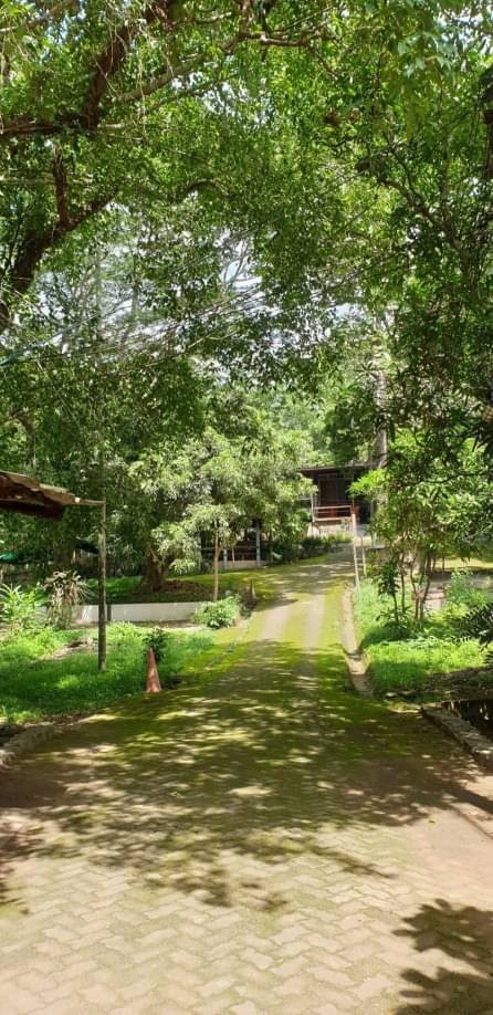 ประกาศฟรี! ซื้อ-ขาย-เช่า คอนโด บ้าน ทาวน์โฮม ที่ดิน และพื้นที่เชิงพาณิชย์ทั่วประเทศไทย ทุกทำเล ทุกงบประมาณ ไม่มีค่าใช้จ่าย ลงง่าย ขายไว เข้าถึงผู้ซื้อโดยตรง 3 166584pic2.jpg