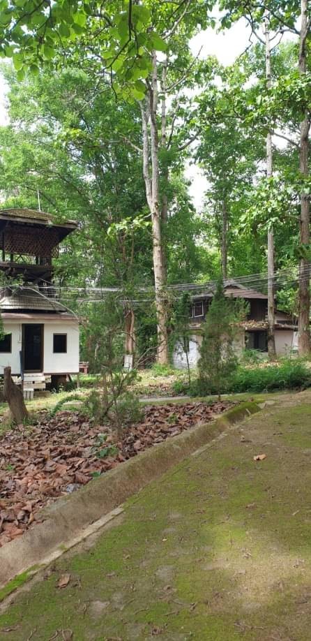 ประกาศฟรี! ซื้อ-ขาย-เช่า คอนโด บ้าน ทาวน์โฮม ที่ดิน และพื้นที่เชิงพาณิชย์ทั่วประเทศไทย ทุกทำเล ทุกงบประมาณ ไม่มีค่าใช้จ่าย ลงง่าย ขายไว เข้าถึงผู้ซื้อโดยตรง 4 166584pic3.jpg