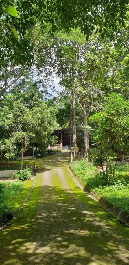 ประกาศฟรี! ซื้อ-ขาย-เช่า คอนโด บ้าน ทาวน์โฮม ที่ดิน และพื้นที่เชิงพาณิชย์ทั่วประเทศไทย ทุกทำเล ทุกงบประมาณ ไม่มีค่าใช้จ่าย ลงง่าย ขายไว เข้าถึงผู้ซื้อโดยตรง 5 166584pic4.jpg