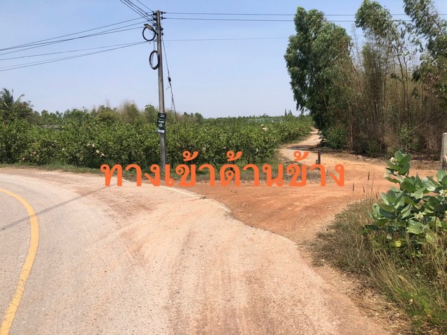 ประกาศฟรี! ซื้อ-ขาย-เช่า คอนโด บ้าน ทาวน์โฮม ที่ดิน และพื้นที่เชิงพาณิชย์ทั่วประเทศไทย ทุกทำเล ทุกงบประมาณ ไม่มีค่าใช้จ่าย ลงง่าย ขายไว เข้าถึงผู้ซื้อโดยตรง 5 14362pic4.jpg