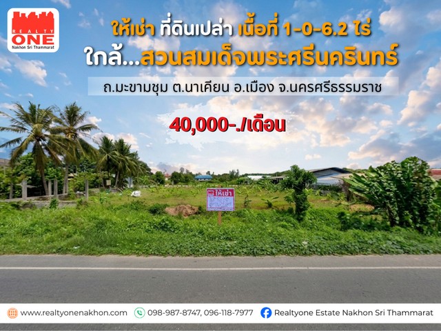 ประกาศฟรี! ซื้อ-ขาย-เช่า คอนโด บ้าน ทาวน์โฮม ที่ดิน และพื้นที่เชิงพาณิชย์ทั่วประเทศไทย ทุกทำเล ทุกงบประมาณ ไม่มีค่าใช้จ่าย ลงง่าย ขายไว เข้าถึงผู้ซื้อโดยตรง 2 319908pic1.jpg