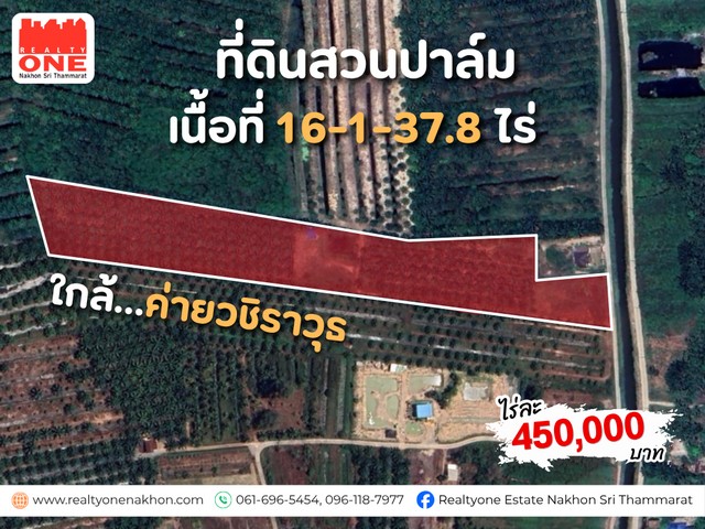 ประกาศฟรี! ซื้อ-ขาย-เช่า คอนโด บ้าน ทาวน์โฮม ที่ดิน และพื้นที่เชิงพาณิชย์ทั่วประเทศไทย ทุกทำเล ทุกงบประมาณ ไม่มีค่าใช้จ่าย ลงง่าย ขายไว เข้าถึงผู้ซื้อโดยตรง 2 319905pic1.jpg