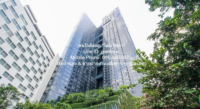 ประกาศฟรี! ซื้อ-ขาย-เช่า คอนโด บ้าน ทาวน์โฮม ที่ดิน และพื้นที่เชิงพาณิชย์ทั่วประเทศไทย ทุกทำเล ทุกงบประมาณ ไม่มีค่าใช้จ่าย ลงง่าย ขายไว เข้าถึงผู้ซื้อโดยตรง 2 310400pic1.jpg