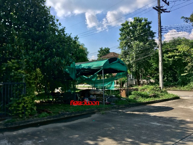 ประกาศฟรี! ซื้อ-ขาย-เช่า คอนโด บ้าน ทาวน์โฮม ที่ดิน และพื้นที่เชิงพาณิชย์ทั่วประเทศไทย ทุกทำเล ทุกงบประมาณ ไม่มีค่าใช้จ่าย ลงง่าย ขายไว เข้าถึงผู้ซื้อโดยตรง 4 318031pic3.jpg