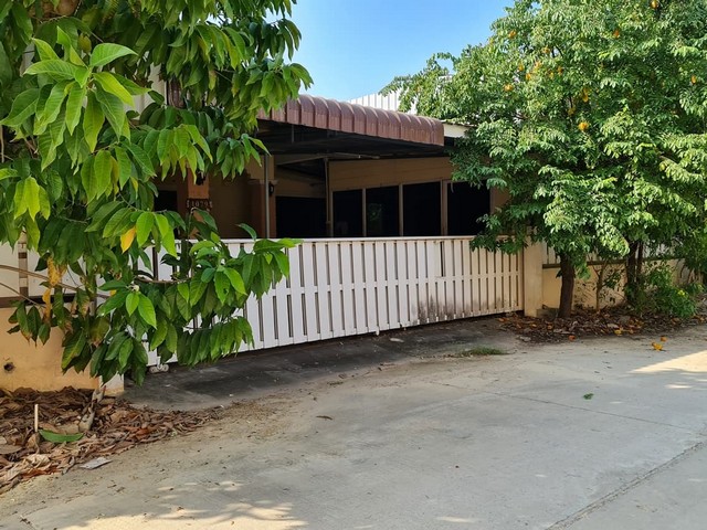 ประกาศฟรี! ซื้อ-ขาย-เช่า คอนโด บ้าน ทาวน์โฮม ที่ดิน และพื้นที่เชิงพาณิชย์ทั่วประเทศไทย ทุกทำเล ทุกงบประมาณ ไม่มีค่าใช้จ่าย ลงง่าย ขายไว เข้าถึงผู้ซื้อโดยตรง 3 266426pic2.jpg