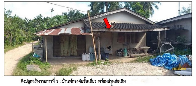 ประกาศฟรี! ซื้อ-ขาย-เช่า คอนโด บ้าน ทาวน์โฮม ที่ดิน และพื้นที่เชิงพาณิชย์ทั่วประเทศไทย ทุกทำเล ทุกงบประมาณ ไม่มีค่าใช้จ่าย ลงง่าย ขายไว เข้าถึงผู้ซื้อโดยตรง 2 265105pic1.jpg