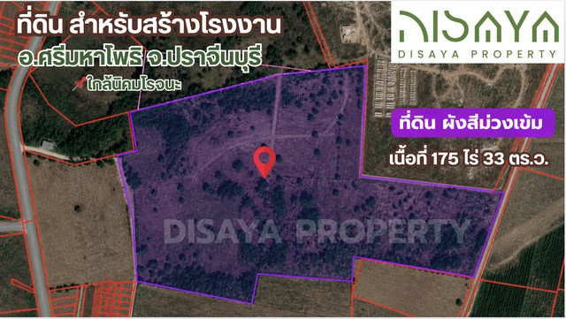 ประกาศฟรี! ซื้อ-ขาย-เช่า คอนโด บ้าน ทาวน์โฮม ที่ดิน และพื้นที่เชิงพาณิชย์ทั่วประเทศไทย ทุกทำเล ทุกงบประมาณ ไม่มีค่าใช้จ่าย ลงง่าย ขายไว เข้าถึงผู้ซื้อโดยตรง 2 320365pic1.jpg