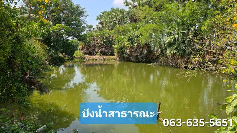ประกาศฟรี! ซื้อ-ขาย-เช่า คอนโด บ้าน ทาวน์โฮม ที่ดิน และพื้นที่เชิงพาณิชย์ทั่วประเทศไทย ทุกทำเล ทุกงบประมาณ ไม่มีค่าใช้จ่าย ลงง่าย ขายไว เข้าถึงผู้ซื้อโดยตรง 3 525197pic2.jpg