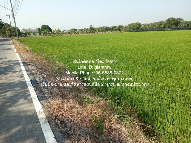 ประกาศฟรี! ซื้อ-ขาย-เช่า คอนโด บ้าน ทาวน์โฮม ที่ดิน และพื้นที่เชิงพาณิชย์ทั่วประเทศไทย ทุกทำเล ทุกงบประมาณ ไม่มีค่าใช้จ่าย ลงง่าย ขายไว เข้าถึงผู้ซื้อโดยตรง 4 296281pic3.jpg