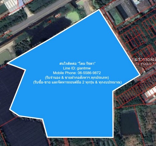 ประกาศฟรี! ซื้อ-ขาย-เช่า คอนโด บ้าน ทาวน์โฮม ที่ดิน และพื้นที่เชิงพาณิชย์ทั่วประเทศไทย ทุกทำเล ทุกงบประมาณ ไม่มีค่าใช้จ่าย ลงง่าย ขายไว เข้าถึงผู้ซื้อโดยตรง 2 296275pic1.jpg