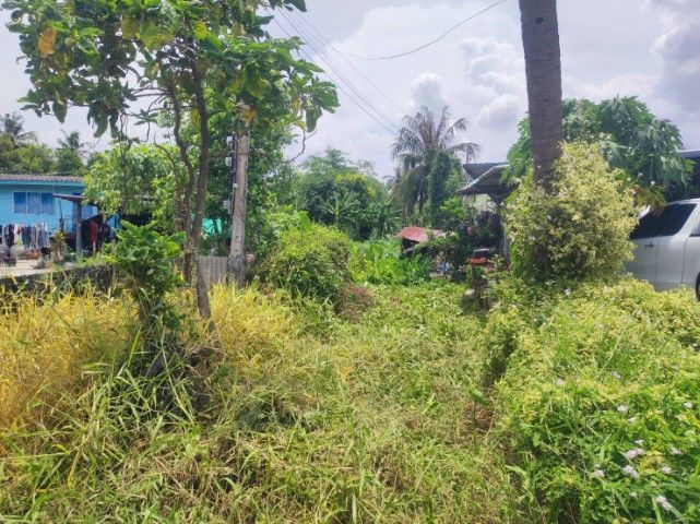 ประกาศฟรี! ซื้อ-ขาย-เช่า คอนโด บ้าน ทาวน์โฮม ที่ดิน และพื้นที่เชิงพาณิชย์ทั่วประเทศไทย ทุกทำเล ทุกงบประมาณ ไม่มีค่าใช้จ่าย ลงง่าย ขายไว เข้าถึงผู้ซื้อโดยตรง 2 320419pic1.jpg