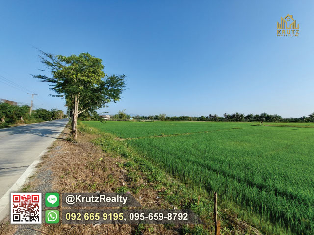 ประกาศฟรี! ซื้อ-ขาย-เช่า คอนโด บ้าน ทาวน์โฮม ที่ดิน และพื้นที่เชิงพาณิชย์ทั่วประเทศไทย ทุกทำเล ทุกงบประมาณ ไม่มีค่าใช้จ่าย ลงง่าย ขายไว เข้าถึงผู้ซื้อโดยตรง 3 185055pic2.jpg