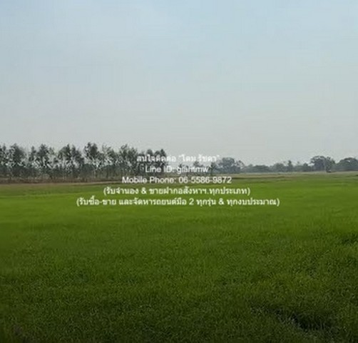 ประกาศฟรี! ซื้อ-ขาย-เช่า คอนโด บ้าน ทาวน์โฮม ที่ดิน และพื้นที่เชิงพาณิชย์ทั่วประเทศไทย ทุกทำเล ทุกงบประมาณ ไม่มีค่าใช้จ่าย ลงง่าย ขายไว เข้าถึงผู้ซื้อโดยตรง 4 294871pic3.jpg