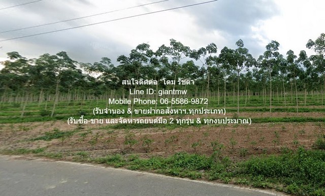 ประกาศฟรี! ซื้อ-ขาย-เช่า คอนโด บ้าน ทาวน์โฮม ที่ดิน และพื้นที่เชิงพาณิชย์ทั่วประเทศไทย ทุกทำเล ทุกงบประมาณ ไม่มีค่าใช้จ่าย ลงง่าย ขายไว เข้าถึงผู้ซื้อโดยตรง 5 294324pic4.jpg