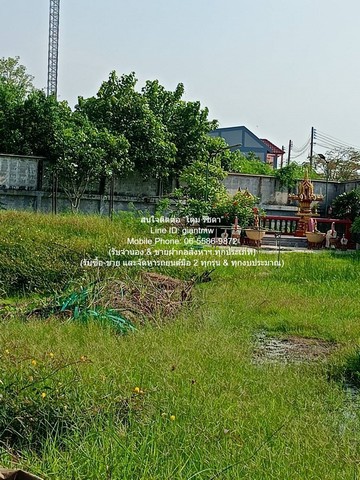 ประกาศฟรี! ซื้อ-ขาย-เช่า คอนโด บ้าน ทาวน์โฮม ที่ดิน และพื้นที่เชิงพาณิชย์ทั่วประเทศไทย ทุกทำเล ทุกงบประมาณ ไม่มีค่าใช้จ่าย ลงง่าย ขายไว เข้าถึงผู้ซื้อโดยตรง 5 292636pic4.jpg