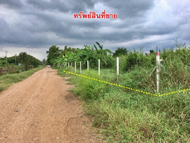 ประกาศฟรี! ซื้อ-ขาย-เช่า คอนโด บ้าน ทาวน์โฮม ที่ดิน และพื้นที่เชิงพาณิชย์ทั่วประเทศไทย ทุกทำเล ทุกงบประมาณ ไม่มีค่าใช้จ่าย ลงง่าย ขายไว เข้าถึงผู้ซื้อโดยตรง 2 318092pic1.jpg