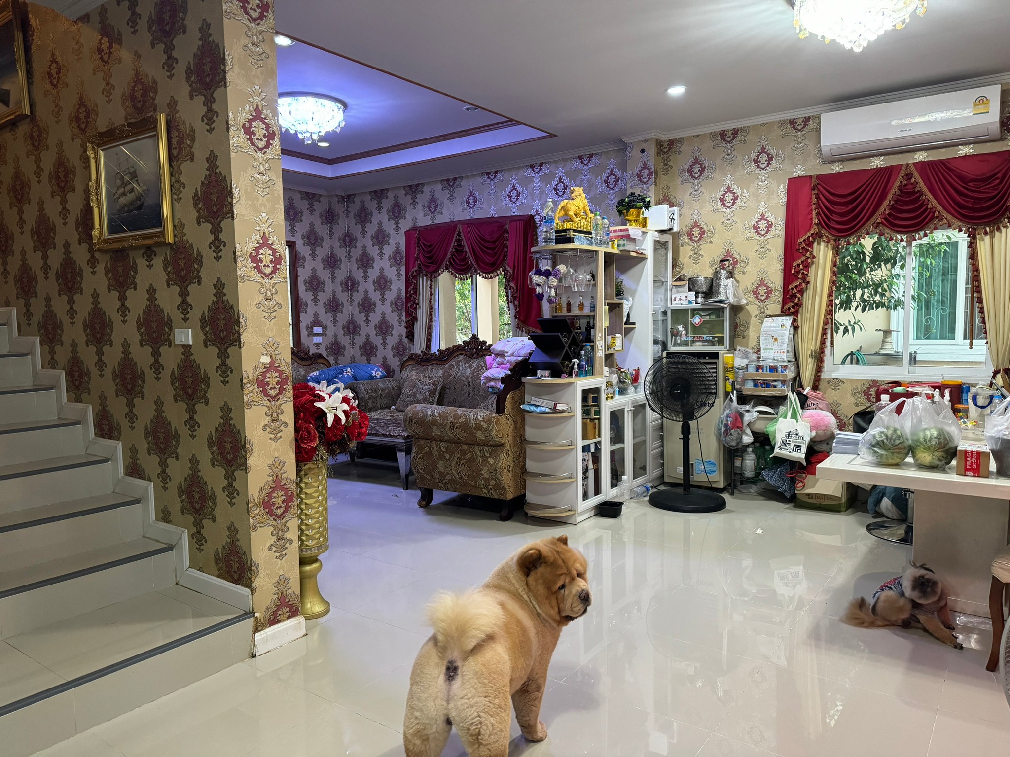 ประกาศฟรี! ซื้อ-ขาย-เช่า คอนโด บ้าน ทาวน์โฮม ที่ดิน และพื้นที่เชิงพาณิชย์ทั่วประเทศไทย ทุกทำเล ทุกงบประมาณ ไม่มีค่าใช้จ่าย ลงง่าย ขายไว เข้าถึงผู้ซื้อโดยตรง 5 320944pic4.jpg