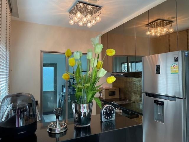 ประกาศฟรี! ซื้อ-ขาย-เช่า คอนโด บ้าน ทาวน์โฮม ที่ดิน และพื้นที่เชิงพาณิชย์ทั่วประเทศไทย ทุกทำเล ทุกงบประมาณ ไม่มีค่าใช้จ่าย ลงง่าย ขายไว เข้าถึงผู้ซื้อโดยตรง 5 274161pic4.jpg