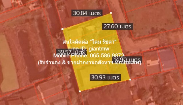 ประกาศฟรี! ซื้อ-ขาย-เช่า คอนโด บ้าน ทาวน์โฮม ที่ดิน และพื้นที่เชิงพาณิชย์ทั่วประเทศไทย ทุกทำเล ทุกงบประมาณ ไม่มีค่าใช้จ่าย ลงง่าย ขายไว เข้าถึงผู้ซื้อโดยตรง 2 21922pic1.jpg