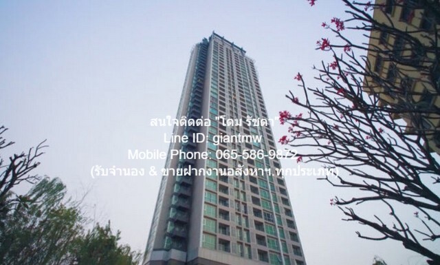ประกาศฟรี! ซื้อ-ขาย-เช่า คอนโด บ้าน ทาวน์โฮม ที่ดิน และพื้นที่เชิงพาณิชย์ทั่วประเทศไทย ทุกทำเล ทุกงบประมาณ ไม่มีค่าใช้จ่าย ลงง่าย ขายไว เข้าถึงผู้ซื้อโดยตรง 2 21149pic1.jpg