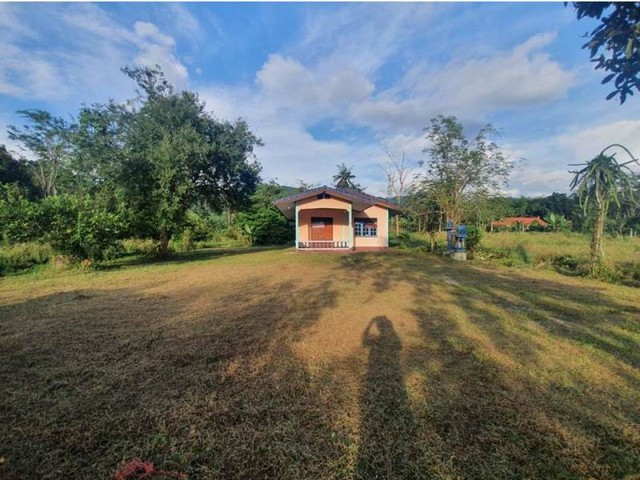 ประกาศฟรี! ซื้อ-ขาย-เช่า คอนโด บ้าน ทาวน์โฮม ที่ดิน และพื้นที่เชิงพาณิชย์ทั่วประเทศไทย ทุกทำเล ทุกงบประมาณ ไม่มีค่าใช้จ่าย ลงง่าย ขายไว เข้าถึงผู้ซื้อโดยตรง 2 166689pic1.jpg