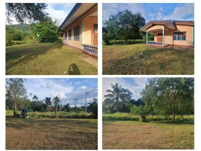 ประกาศฟรี! ซื้อ-ขาย-เช่า คอนโด บ้าน ทาวน์โฮม ที่ดิน และพื้นที่เชิงพาณิชย์ทั่วประเทศไทย ทุกทำเล ทุกงบประมาณ ไม่มีค่าใช้จ่าย ลงง่าย ขายไว เข้าถึงผู้ซื้อโดยตรง 4 166689pic3.jpg