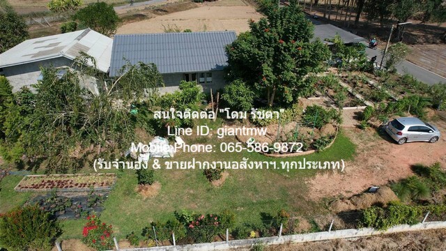 ประกาศฟรี! ซื้อ-ขาย-เช่า คอนโด บ้าน ทาวน์โฮม ที่ดิน และพื้นที่เชิงพาณิชย์ทั่วประเทศไทย ทุกทำเล ทุกงบประมาณ ไม่มีค่าใช้จ่าย ลงง่าย ขายไว เข้าถึงผู้ซื้อโดยตรง 3 20721pic2.jpg