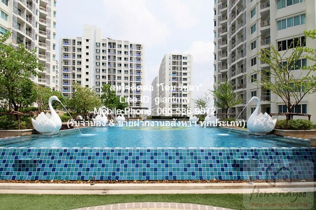 ประกาศฟรี! ซื้อ-ขาย-เช่า คอนโด บ้าน ทาวน์โฮม ที่ดิน และพื้นที่เชิงพาณิชย์ทั่วประเทศไทย ทุกทำเล ทุกงบประมาณ ไม่มีค่าใช้จ่าย ลงง่าย ขายไว เข้าถึงผู้ซื้อโดยตรง 2 17471pic1.jpg