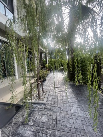 ประกาศฟรี! ซื้อ-ขาย-เช่า คอนโด บ้าน ทาวน์โฮม ที่ดิน และพื้นที่เชิงพาณิชย์ทั่วประเทศไทย ทุกทำเล ทุกงบประมาณ ไม่มีค่าใช้จ่าย ลงง่าย ขายไว เข้าถึงผู้ซื้อโดยตรง 4 526938pic3.jpg