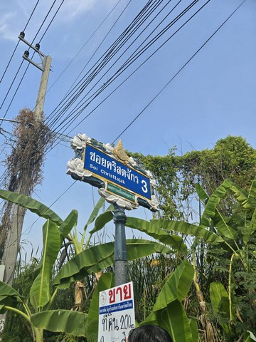 ประกาศฟรี! ซื้อ-ขาย-เช่า คอนโด บ้าน ทาวน์โฮม ที่ดิน และพื้นที่เชิงพาณิชย์ทั่วประเทศไทย ทุกทำเล ทุกงบประมาณ ไม่มีค่าใช้จ่าย ลงง่าย ขายไว เข้าถึงผู้ซื้อโดยตรง 2 285006pic1.jpg