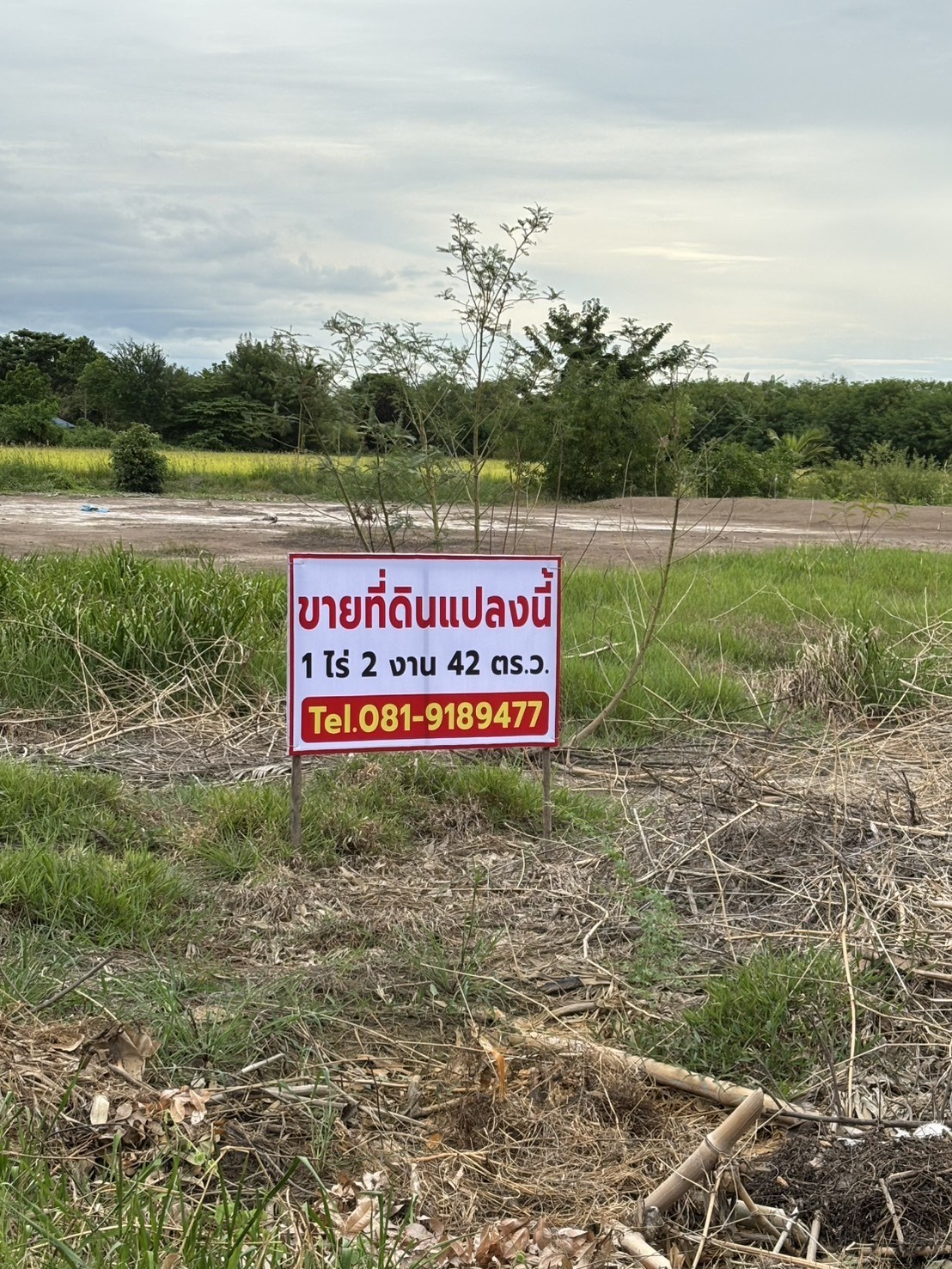 ประกาศฟรี! ซื้อ-ขาย-เช่า คอนโด บ้าน ทาวน์โฮม ที่ดิน และพื้นที่เชิงพาณิชย์ทั่วประเทศไทย ทุกทำเล ทุกงบประมาณ ไม่มีค่าใช้จ่าย ลงง่าย ขายไว เข้าถึงผู้ซื้อโดยตรง 2 321502pic1.jpg