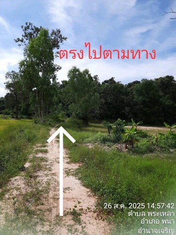 ประกาศฟรี! ซื้อ-ขาย-เช่า คอนโด บ้าน ทาวน์โฮม ที่ดิน และพื้นที่เชิงพาณิชย์ทั่วประเทศไทย ทุกทำเล ทุกงบประมาณ ไม่มีค่าใช้จ่าย ลงง่าย ขายไว เข้าถึงผู้ซื้อโดยตรง 2 271217pic1.jpg