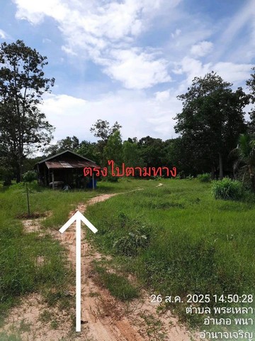 ประกาศฟรี! ซื้อ-ขาย-เช่า คอนโด บ้าน ทาวน์โฮม ที่ดิน และพื้นที่เชิงพาณิชย์ทั่วประเทศไทย ทุกทำเล ทุกงบประมาณ ไม่มีค่าใช้จ่าย ลงง่าย ขายไว เข้าถึงผู้ซื้อโดยตรง 4 271217pic3.jpg