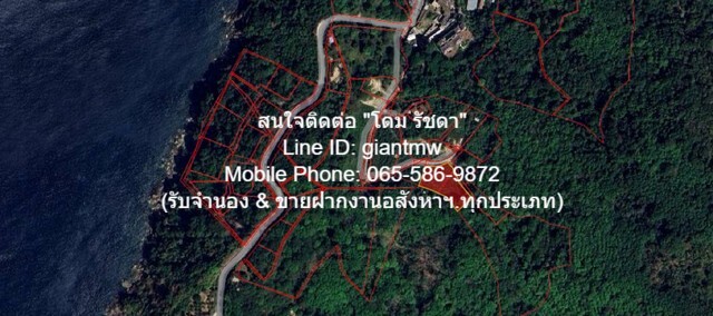 ประกาศฟรี! ซื้อ-ขาย-เช่า คอนโด บ้าน ทาวน์โฮม ที่ดิน และพื้นที่เชิงพาณิชย์ทั่วประเทศไทย ทุกทำเล ทุกงบประมาณ ไม่มีค่าใช้จ่าย ลงง่าย ขายไว เข้าถึงผู้ซื้อโดยตรง 2 17122pic1.jpg