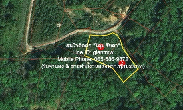 ประกาศฟรี! ซื้อ-ขาย-เช่า คอนโด บ้าน ทาวน์โฮม ที่ดิน และพื้นที่เชิงพาณิชย์ทั่วประเทศไทย ทุกทำเล ทุกงบประมาณ ไม่มีค่าใช้จ่าย ลงง่าย ขายไว เข้าถึงผู้ซื้อโดยตรง 5 17122pic4.jpg