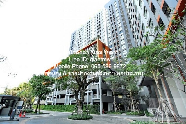 ประกาศฟรี! ซื้อ-ขาย-เช่า คอนโด บ้าน ทาวน์โฮม ที่ดิน และพื้นที่เชิงพาณิชย์ทั่วประเทศไทย ทุกทำเล ทุกงบประมาณ ไม่มีค่าใช้จ่าย ลงง่าย ขายไว เข้าถึงผู้ซื้อโดยตรง 2 16909pic1.jpg