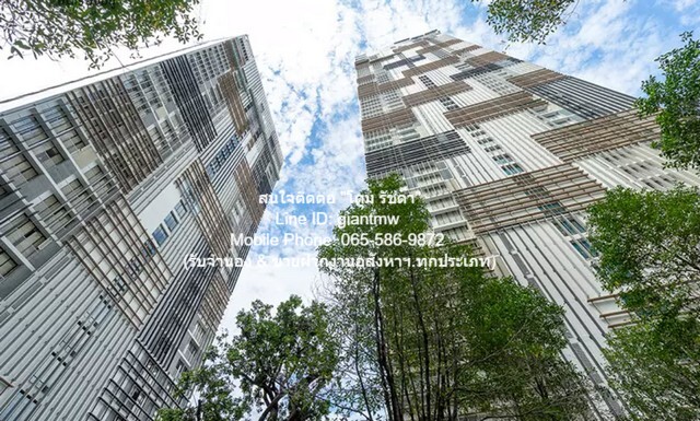 ประกาศฟรี! ซื้อ-ขาย-เช่า คอนโด บ้าน ทาวน์โฮม ที่ดิน และพื้นที่เชิงพาณิชย์ทั่วประเทศไทย ทุกทำเล ทุกงบประมาณ ไม่มีค่าใช้จ่าย ลงง่าย ขายไว เข้าถึงผู้ซื้อโดยตรง 2 16563pic1.jpg