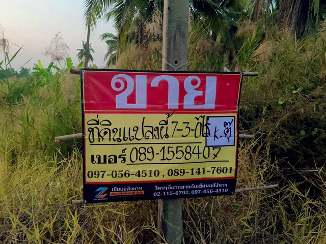 ประกาศฟรี! ซื้อ-ขาย-เช่า คอนโด บ้าน ทาวน์โฮม ที่ดิน และพื้นที่เชิงพาณิชย์ทั่วประเทศไทย ทุกทำเล ทุกงบประมาณ ไม่มีค่าใช้จ่าย ลงง่าย ขายไว เข้าถึงผู้ซื้อโดยตรง 5 527530pic4.jpg