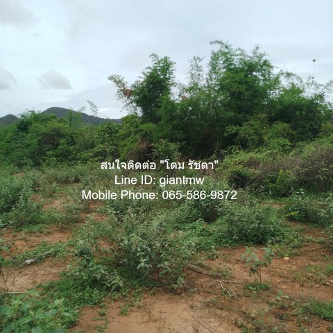 ประกาศฟรี! ซื้อ-ขาย-เช่า คอนโด บ้าน ทาวน์โฮม ที่ดิน และพื้นที่เชิงพาณิชย์ทั่วประเทศไทย ทุกทำเล ทุกงบประมาณ ไม่มีค่าใช้จ่าย ลงง่าย ขายไว เข้าถึงผู้ซื้อโดยตรง 5 15963pic4.jpg