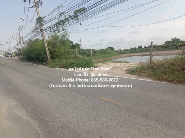 ประกาศฟรี! ซื้อ-ขาย-เช่า คอนโด บ้าน ทาวน์โฮม ที่ดิน และพื้นที่เชิงพาณิชย์ทั่วประเทศไทย ทุกทำเล ทุกงบประมาณ ไม่มีค่าใช้จ่าย ลงง่าย ขายไว เข้าถึงผู้ซื้อโดยตรง 2 16499pic1.jpg